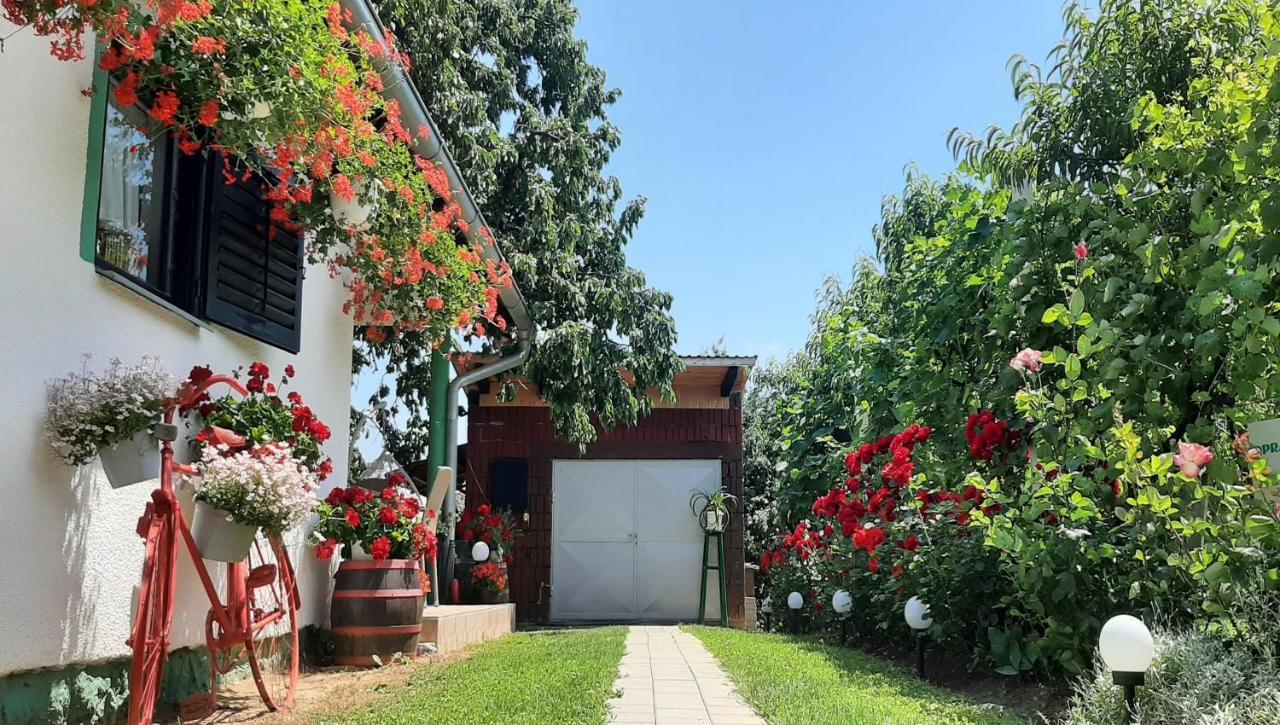 Apartment Amigo Sirova Katalena Zewnętrze zdjęcie